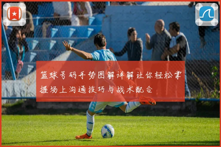 篮球号码手势图解详解让你轻松掌握场上沟通技巧与战术配合