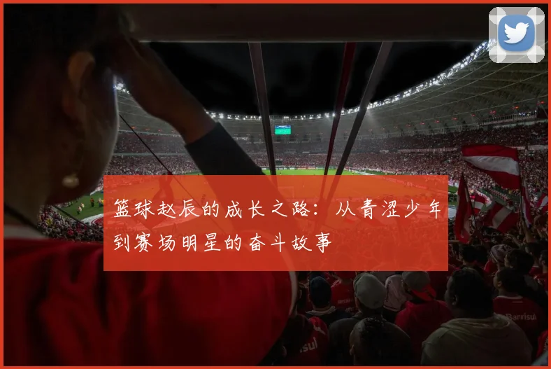 篮球赵辰的成长之路：从青涩少年到赛场明星的奋斗故事