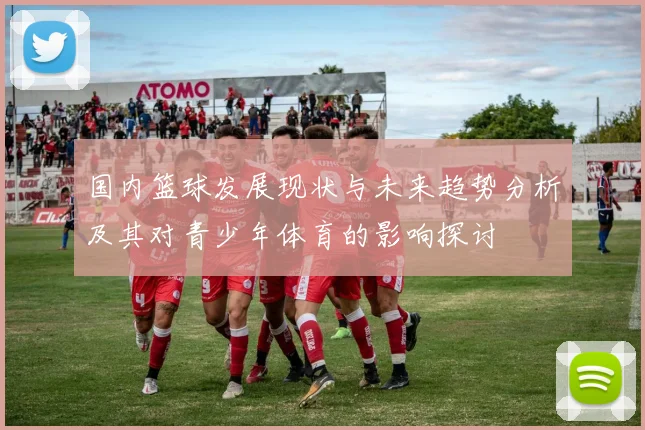 国内篮球发展现状与未来趋势分析及其对青少年体育的影响探讨