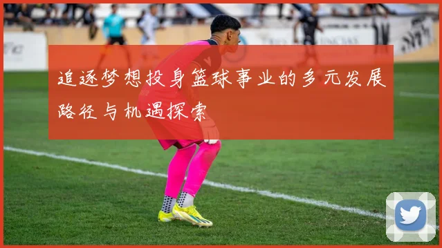 追逐梦想投身篮球事业的多元发展路径与机遇探索