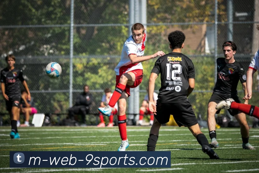 多媒体互动体验